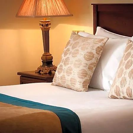 Meadow Court 4* Galway